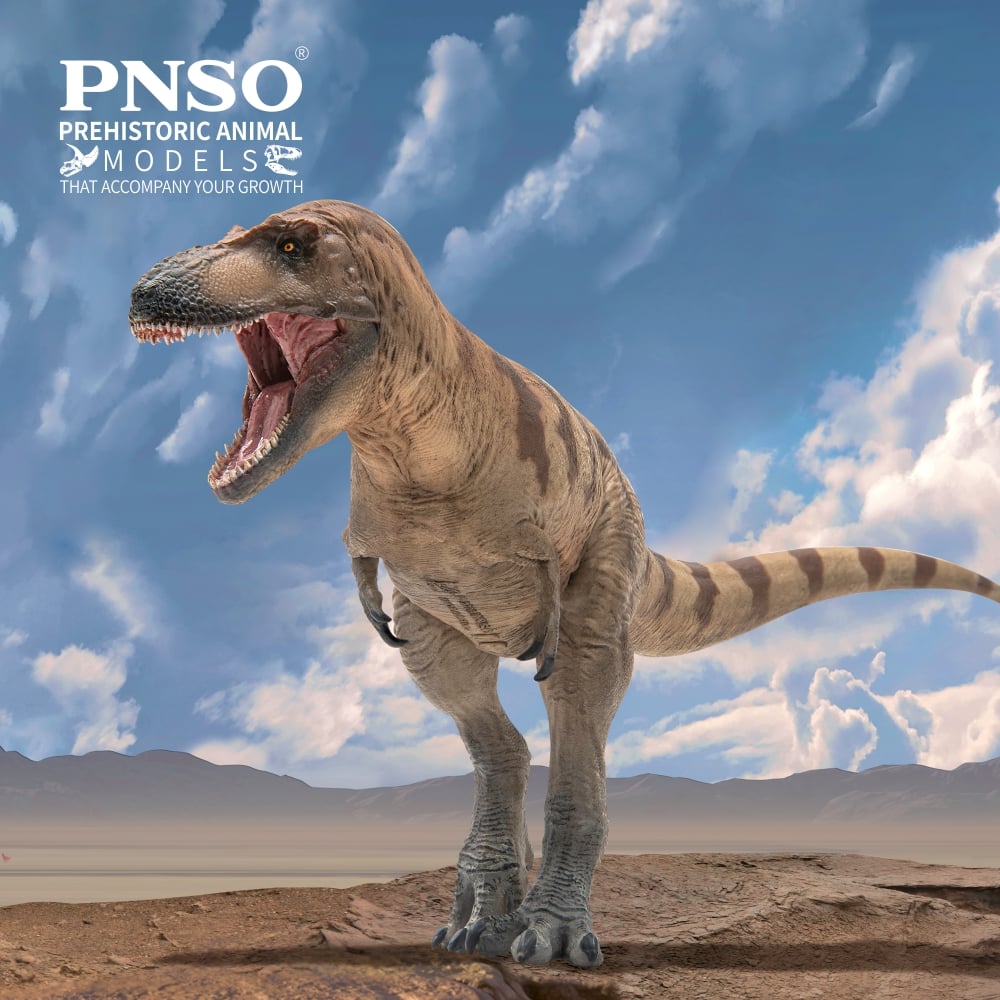 PNSO Prehistoric Animal Models Cole the Daspletosaurus 10.23-Inch PVC Figure - View 7