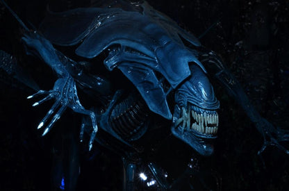 NECA Aliens Xenomorph Queen Ultra Deluxe 15-Inch Action Figure with 30 Articulation Points - View 7